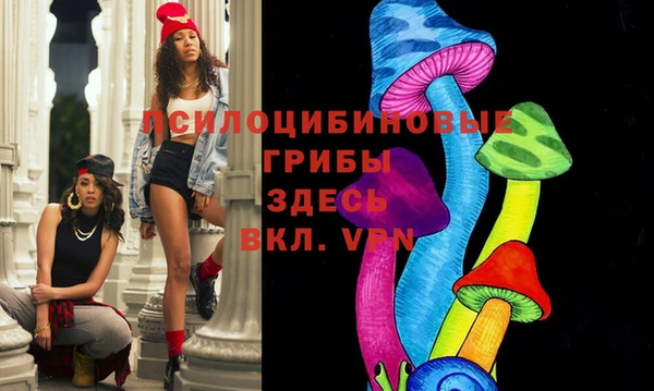 дурь Михайловка