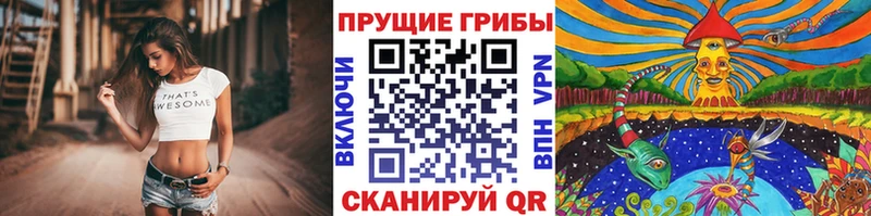 Псилоцибиновые грибы мухоморы  цены наркотик  Саранск 