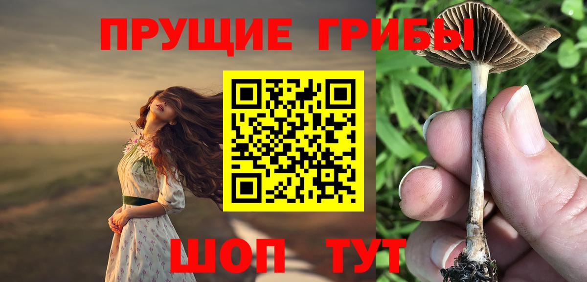 Галлюциногенные грибы GOLDEN TEACHER  Вход с VPN  Саранск 